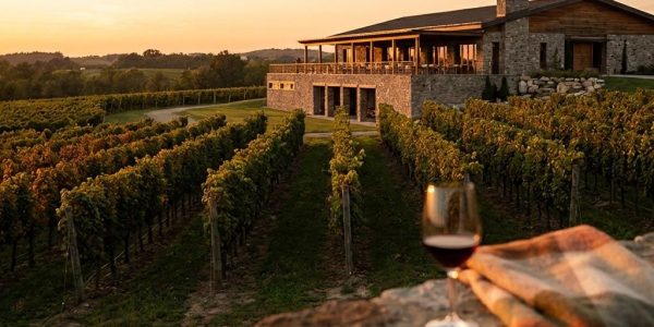 Build Your Wine Brand Online | winery marketing agency